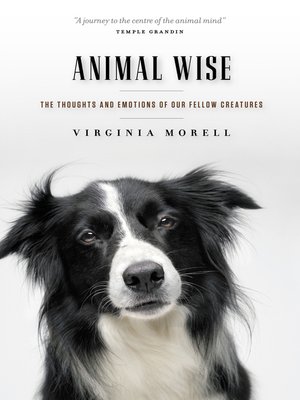 cover image of Animal Wise